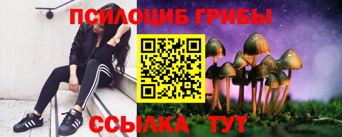 Псилоцибиновые грибы Magic Shrooms Тула